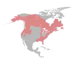 Aire de répartition de la Loutre de rivière