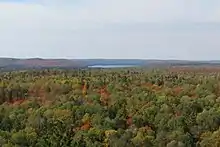 Une forêt d'arbres allant du vert à l'orange près d'une étendue d'eau.