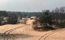 Loonse en Drunense Duinen Nationaal Park