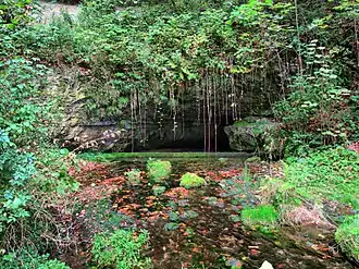 La source de la Reverotte à Martinvaux.