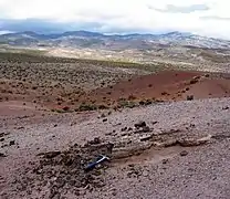 Tronc de bois pétrifié au Cerro de Los Colorados