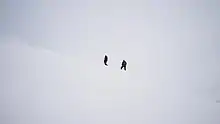 Photographie des deux hommes dans la neige.