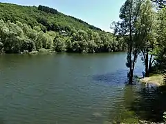 Le Lot au niveau du pont de Lous (lieu de la confluence du Merdanson).