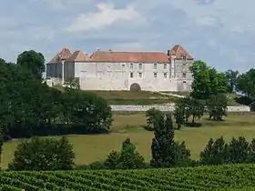 Le château de Théobon, vu du bourg