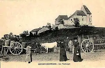 Les vendanges au pied du château de Montfand (carte postale ancienne)