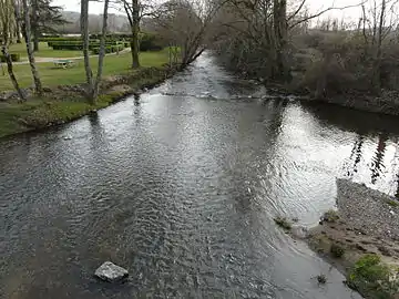 La Loue en aval du pont de la RD 705.