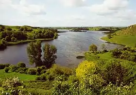 Image illustrative de l’article Lough Gur