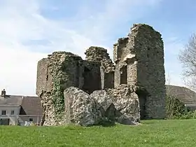 Image illustrative de l’article Château de Loughor