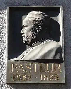 Louis Pasteur, bas-relief au no 3 rue des Veaux à Strasbourg.