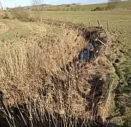 La Loutre Noire à Arracourt.