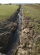 Loutre Noire à Arracourt depuis la RD 914