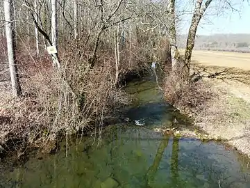 La Louyre en aval du pont de la route qui mène à Saint-Georges-de-Montclard.