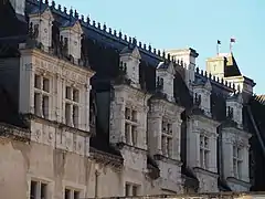 Photographie en couleurs de grandes fenêtres d'un château.