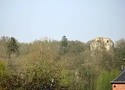 Ruine du donjon (vue depuis l'église ou le cimetière).