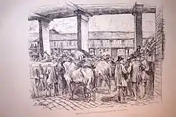 Marché aux chevaux à Paris