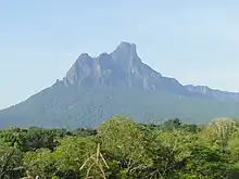 Photographie d'une montagne sacré du peuple amérindien Yanomami