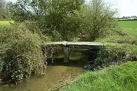 Le Lunain près du village de Chéroy, Yonne.