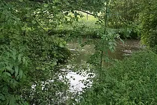 Confluence du Lunain et du Loingà Moret-Loing-et-Orvanne.