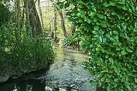 Le Lunain près du village de Treuzy-Levelay.