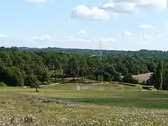 La forêt du Landais à Lunas.