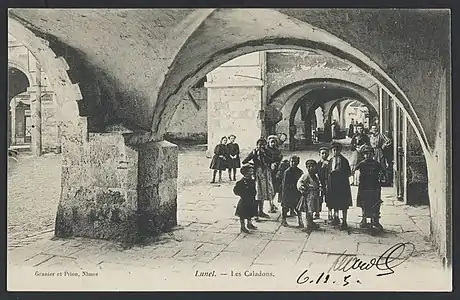 Carte postale des caladons (1905).