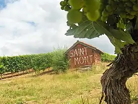 Image illustrative de l’article Saint-mont (AOC)