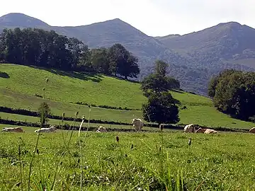 Paysage à Lurbe-Saint-Christau.