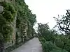 Wisteria sinensis dans le verger du jardin du Rosaire.