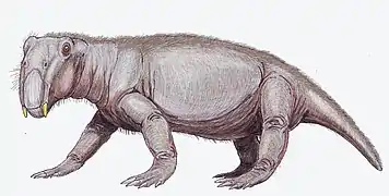 Lystrosaurus, un anomodonte.