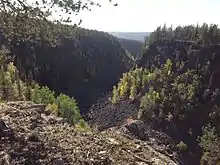 La taïga au niveau du canyon de Måskosgårsså dans le sud du parc national de Muddus.