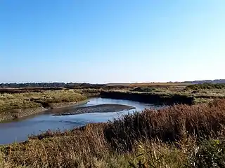 Étier du Pont d'Arm, délimitant les communes d'Assérac et de Saint-Molf, dernière section du Mès