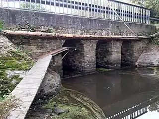 À l'aval, Mès servant d'exutoire à l'étang de Bouzaire. Passerelle permettant la traversée des loutres (dite « loutroduc »), passant sous une des trois arches du ponceau construit en 1859 supportant l'assiette de la route départementale 48.