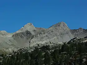 Photo prise en contre-plongée d'une montagne grise avec plusieurs pics. À l'arrière-plan, le ciel est parfaitement bleu et une forêt se trouve en contrebas du relief.