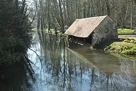 La juine à Méréville.