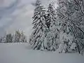 Vue du haut des pistes.