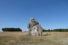 Menhir érigé en l'an 2000 par 200 volontaires à Mévoisins. Hauteur : 4,20 mètres, masse : 10 tonnes.