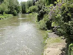 L'Oise àMézières-sur-Oise.