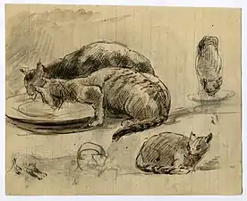 Étude de chats, musée d'Art et d'Histoire de Saint-Brieuc.