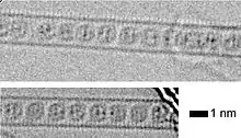 Endofullerènes dans un nanotube de carbone.