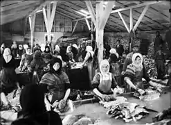 Femmes travaillant dans une usine de traitement du poisson.