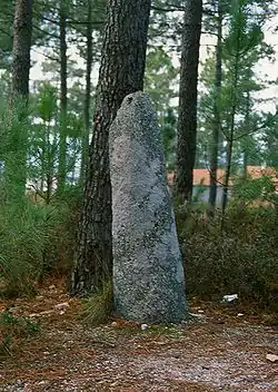 Image illustrative de l’article Menhir de São Paio de Antas