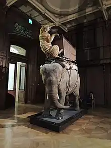 L'éléphant et la tigresse du duc d'Orléans.