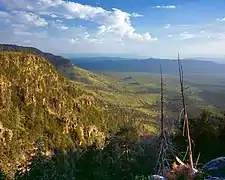 Vue depuis le Mogollon Rim près de Payson