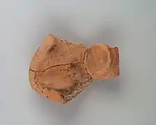 Fragment de moule de lampe à huile