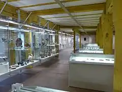 Vitrines d'exposition de pièces d'archéologie classique.