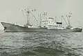 MV Netanya, un des navires chargés d'escorter les vedettes