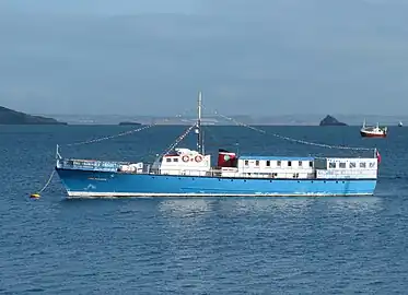 La Fairmile B survivante RML 497 à Brixham en Angleterre, avant sa restauration avec l’aspect qu’elle avait en temps de guerre.