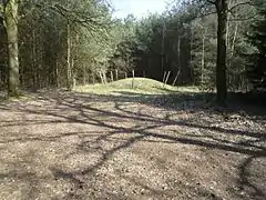 Tumulus au hameau de Vessemsedijk (commune de Veldhoven.