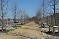 La partie prolongée de la Beukenlaan et le parc relais près de la gare.