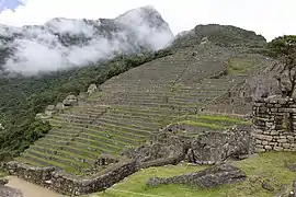 Terrasses du côté est dans le secteur agricole.